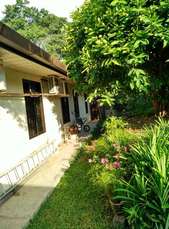 Cozy Mount Erskine Homestay 조지타운 외부 사진